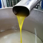 Extra virgin olive oil Bubičić